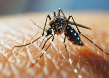 Sindh Health Department dengue cases report