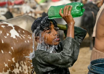 Heatwave Alert Issued as Karachi Temperature May Reach 43°C