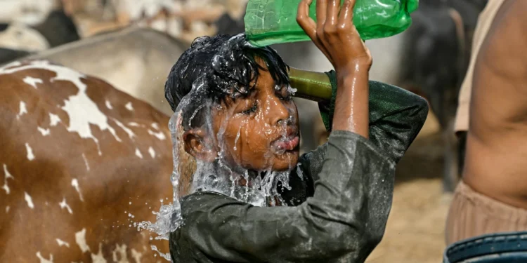 Heatwave Alert Issued as Karachi Temperature May Reach 43°C